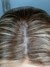 24" ELITE PREMIUM EUROPEAN WIG #2208